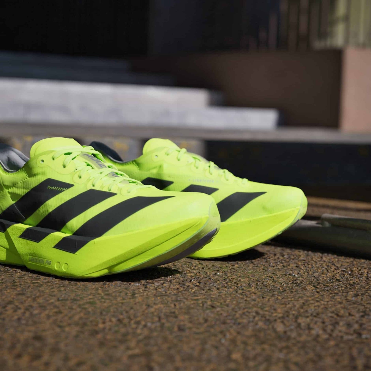 Adizero EVO SL Lucid Lemon / Core Black / Halo Silver