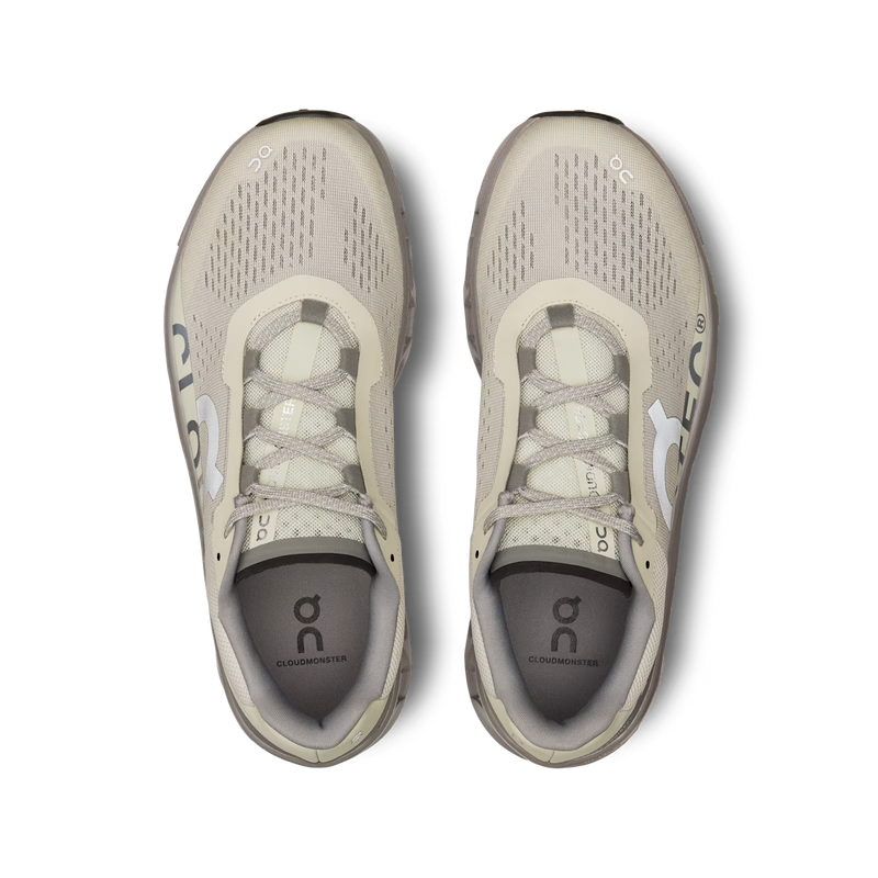 On Running Cloudmonster Ice/Alloy